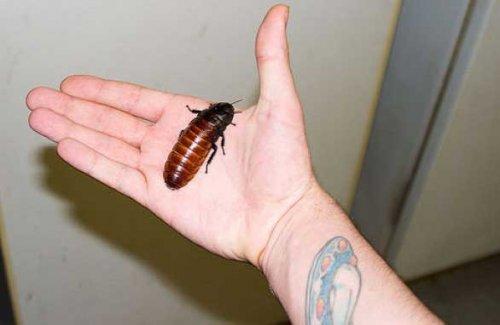 Bazıları çok masum görünür ama...