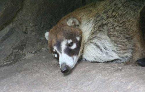 Bazıları çok masum görünür ama...