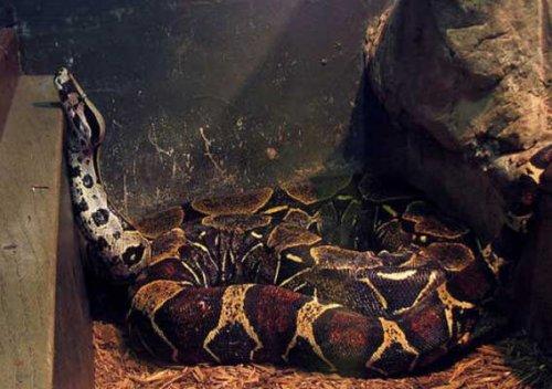 Bazıları çok masum görünür ama...