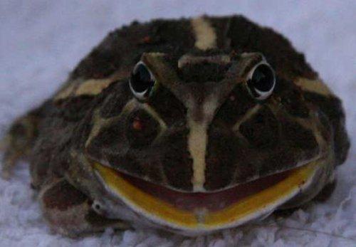 Bazıları çok masum görünür ama...