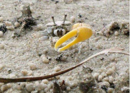 Bazıları çok masum görünür ama...