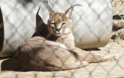 Bazıları çok masum görünür ama...