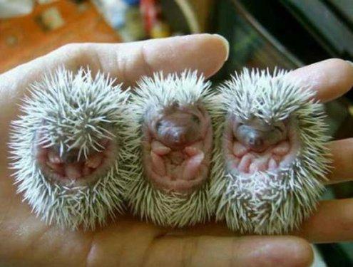 Bazıları çok masum görünür ama...