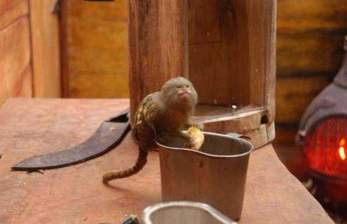 Bazıları çok masum görünür ama...