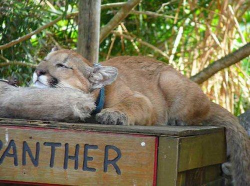 Bazıları çok masum görünür ama...