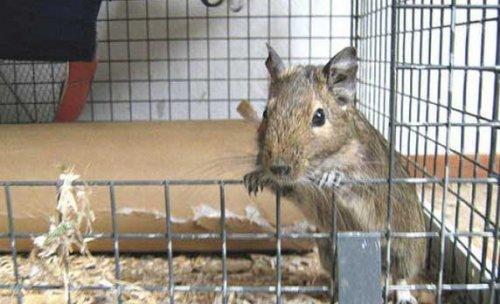 Bazıları çok masum görünür ama...