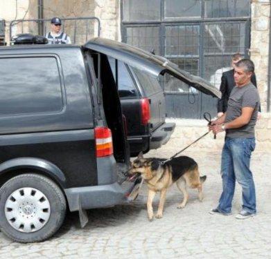 Gül'e 4 dilde karşılama - Resim 15