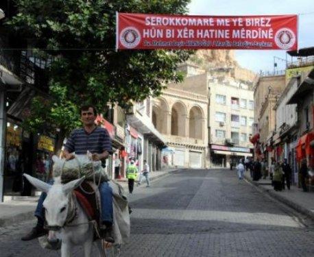 Gül'e 4 dilde karşılama - Resim 4