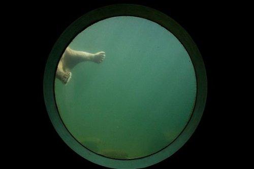 2010'un en vahşi fotoğrafları - Resim 15