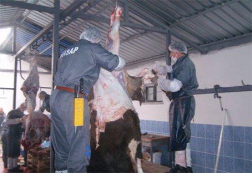 Kurban etiyle ilgili gerçekler