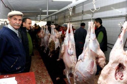 Memleketimden kurban manzaraları - Resim 19