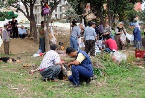 Memleketimden kurban manzaraları - Resim 22