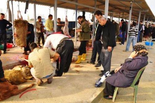 Memleketimden kurban manzaraları - Resim 31