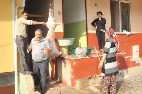 Memleketimden kurban manzaraları - Resim 2
