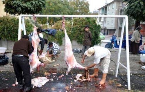 Memleketimden kurban manzaraları - Resim 33
