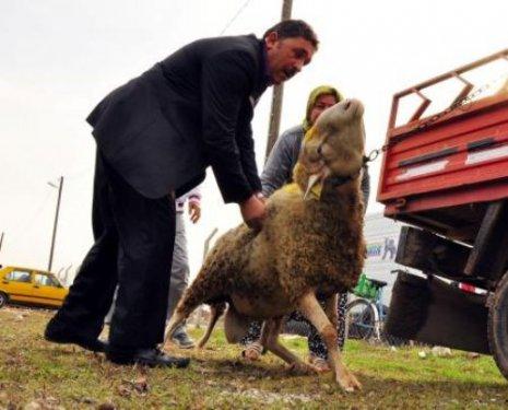 Memleketimden kurban manzaraları - Resim 32