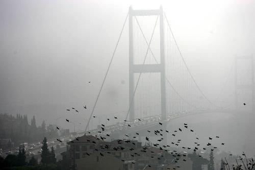 İstanbul SİS altında - Resim 28