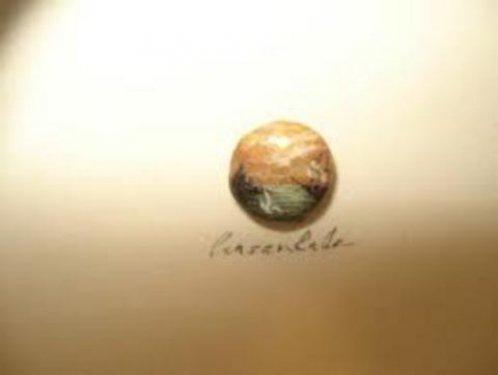 Sineğin kanadındaki İstanbul 