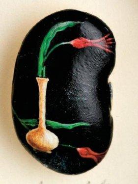 Sineğin kanadındaki İstanbul 