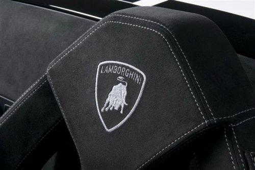 Lamborghini Gallardo LP 570-4 Spyder Performante - Resim 15