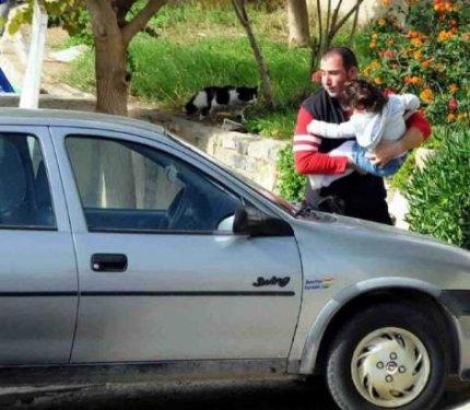 Bodrum’da aç domuz şehre indi - Resim 8