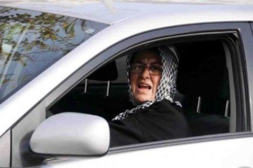 Bodrum’da aç domuz şehre indi - Resim 14