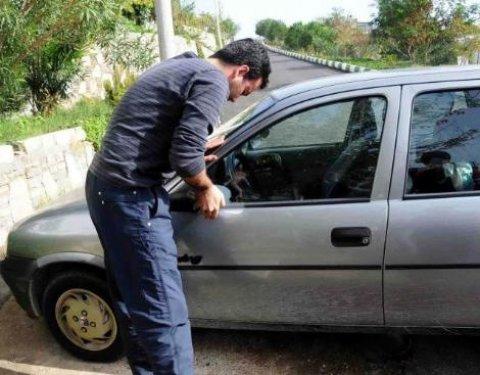 Bodrum’da aç domuz şehre indi - Resim 16