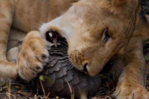 2010'a damga vuran av anları