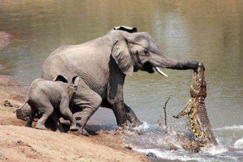 2010'a damga vuran av anları