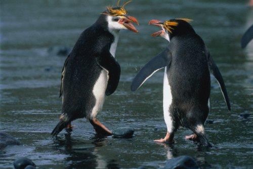 2010'a damga vuran av anları