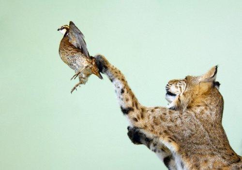 2010'a damga vuran av anları