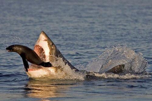 2010'a damga vuran av anları