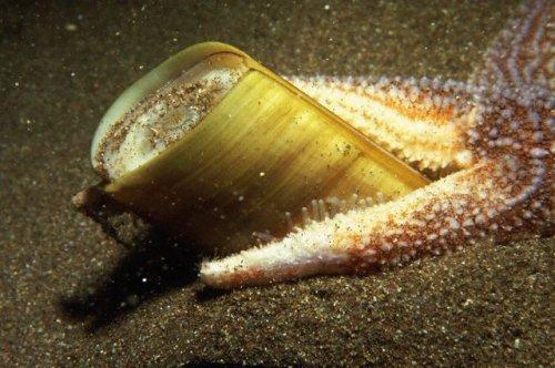 2010'a damga vuran av anları