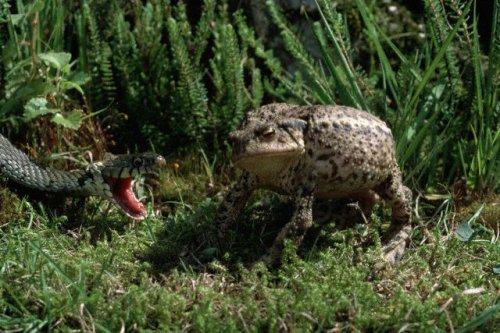 2010'a damga vuran av anları