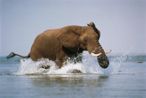 2010'a damga vuran av anları