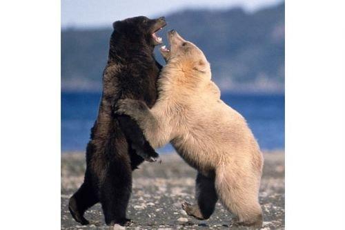 2010'a damga vuran av anları