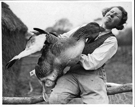 2010'a damga vuran av anları