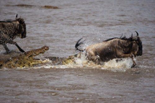 2010'a damga vuran av anları