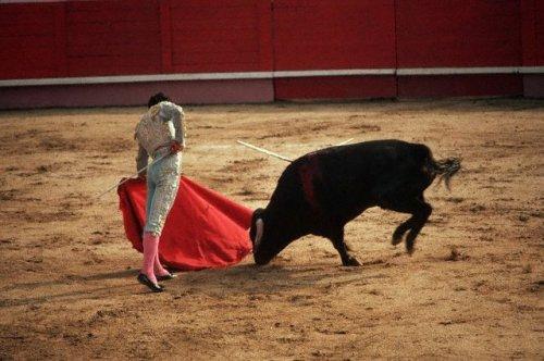 2010'a damga vuran av anları