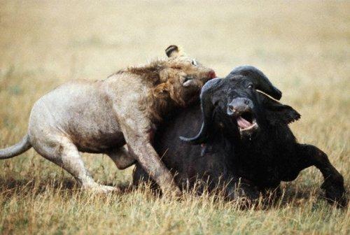 2010'a damga vuran av anları