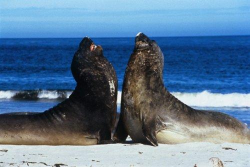 2010'a damga vuran av anları