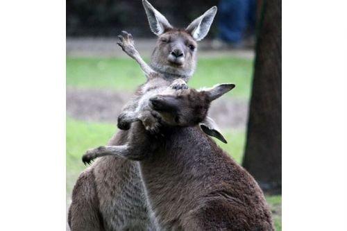 2010'a damga vuran av anları