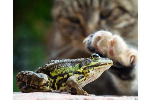 2010'a damga vuran av anları