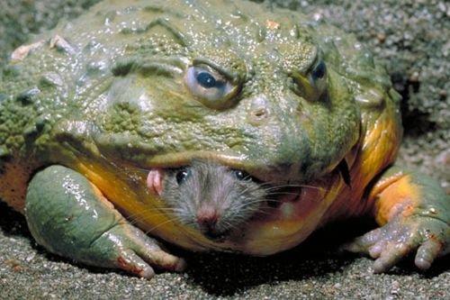 2010'a damga vuran av anları