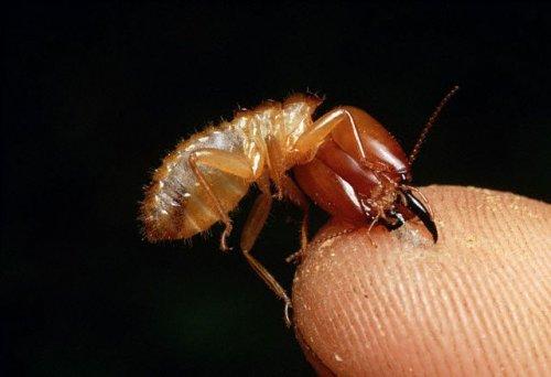 2010'a damga vuran av anları