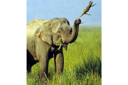 2010'a damga vuran av anları