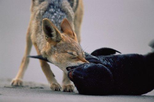 2010'a damga vuran av anları