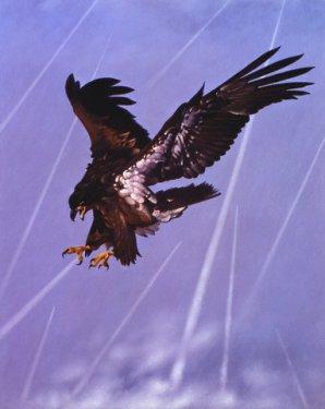 2010'a damga vuran av anları