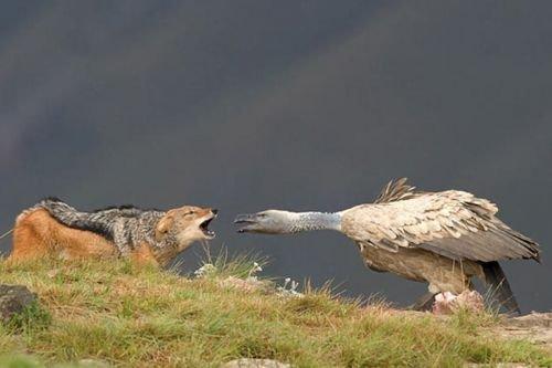 2010'a damga vuran av anları