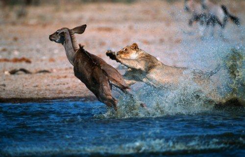 2010'a damga vuran av anları